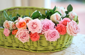 Bouquets Still Life Flowers Basket Pink 1920 x 1200 340x220