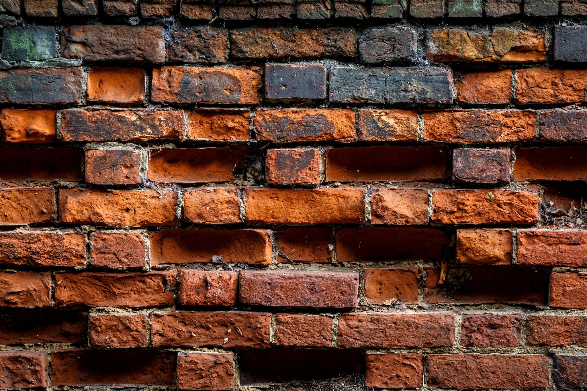 Video background for tik tok - Spotlight shines on brick wall you have been disc