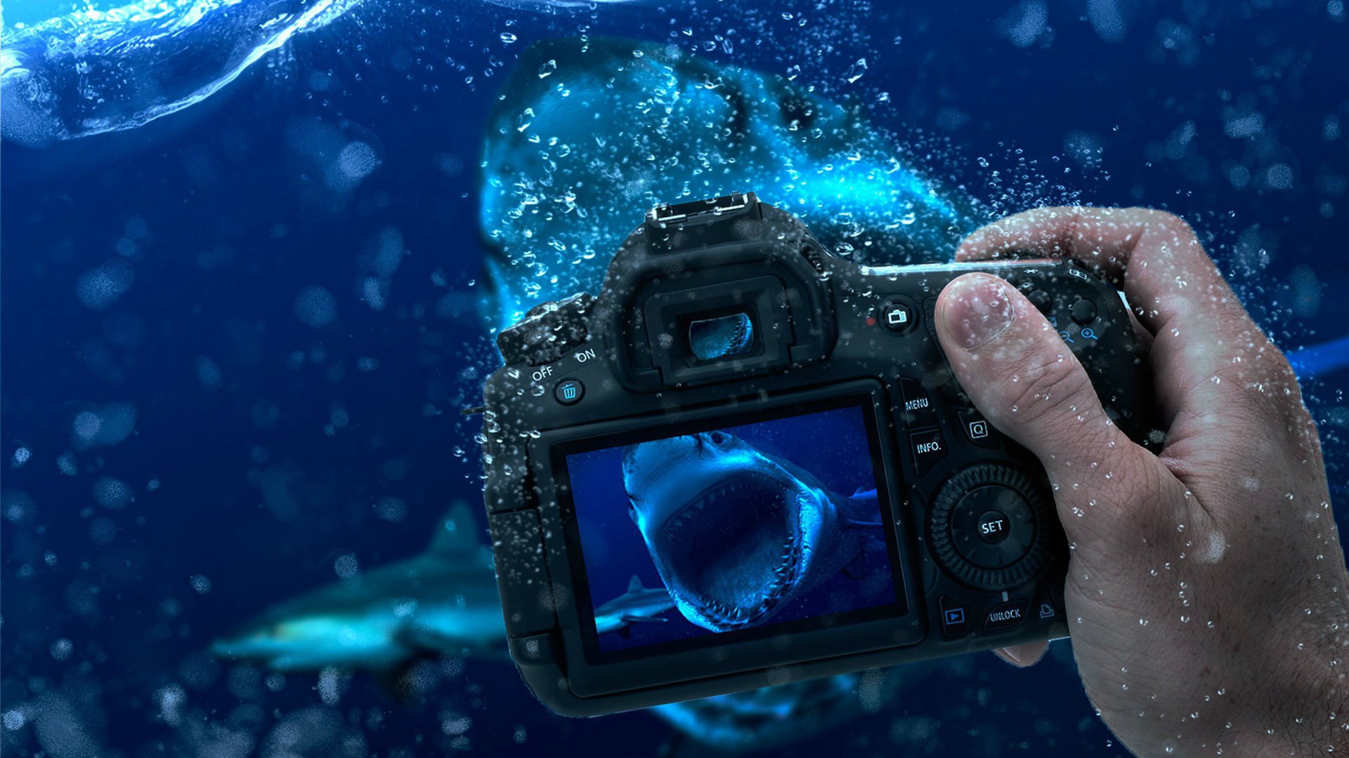 Image Result For Fotografer Video Full Hd Image Result For Fotografer Video Full Hd