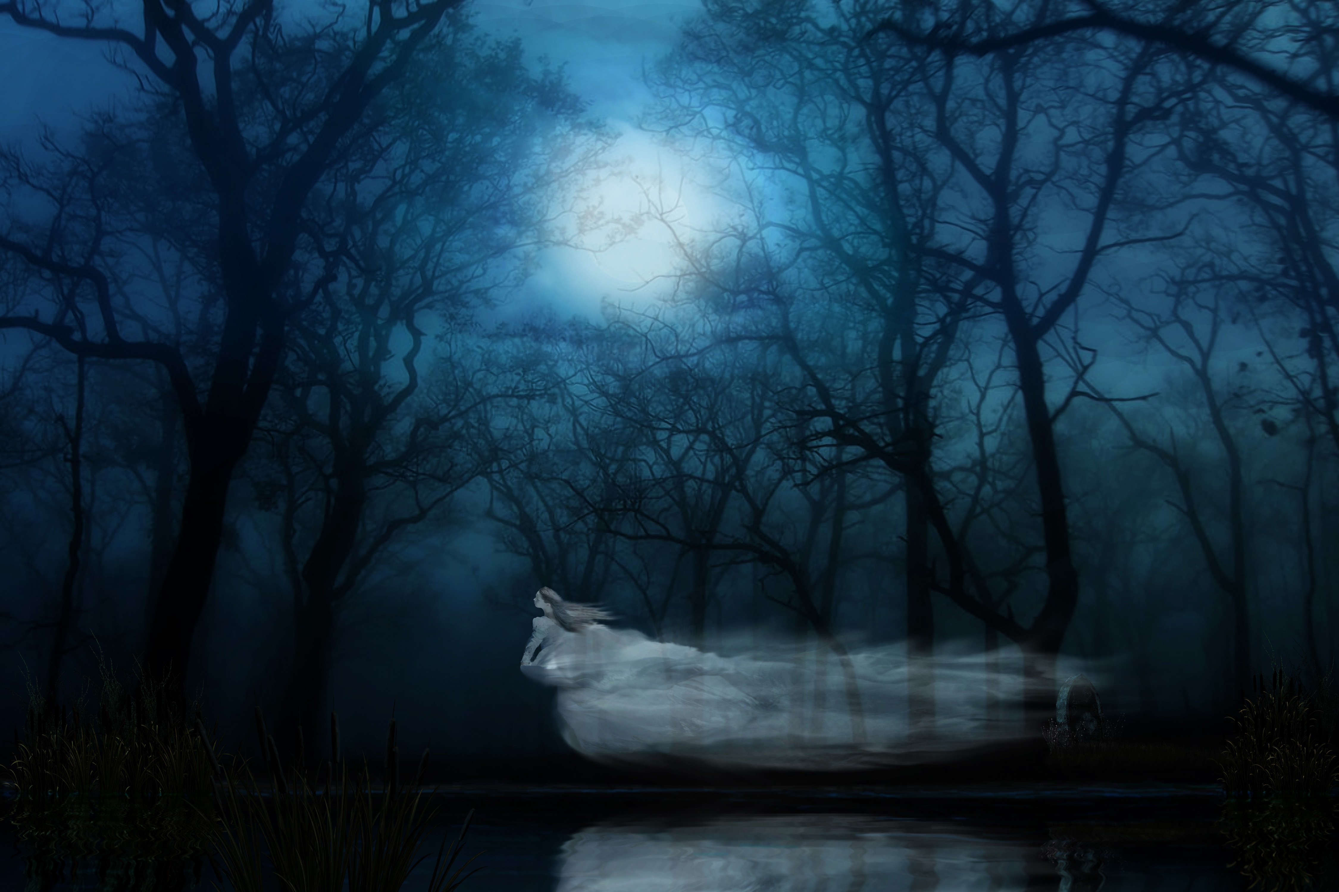 Мистические. Мистический фон. «Ночь в лесу». Мрачный пейзаж. Мрачный лес.
