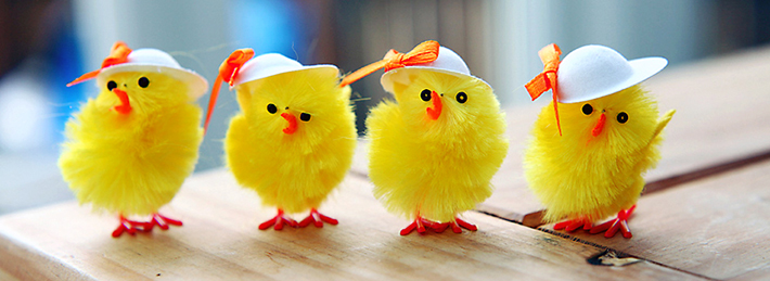 facebook cover photo images