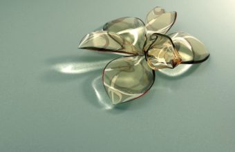 Flower Glass Petals 1280 X 1024 340x220