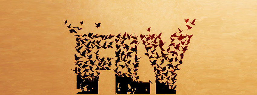 Flying Bird Text Facebook Timeline Cover Wallpaper - [850 x 315]