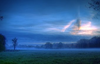Fog Times 1920 x 1080 340x220