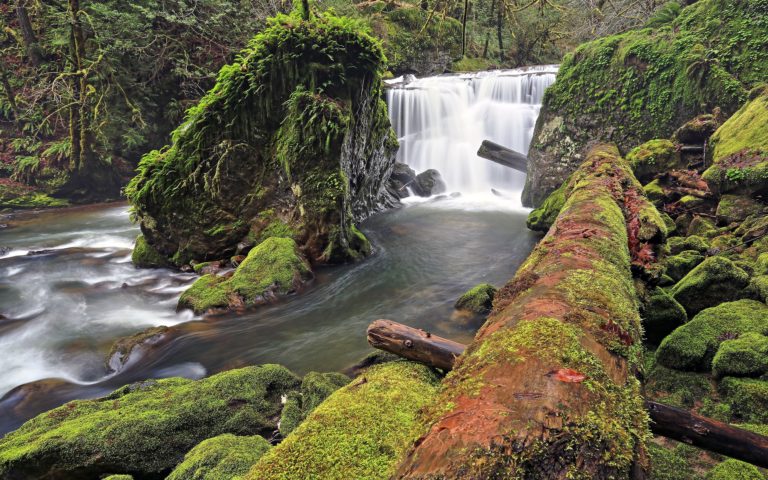 Forest River Waterfall Log Moss Rocks 2560 x 1600 768x480