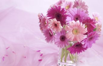 Gerbera Daisy Arrangement 1600 x 1200 340x220