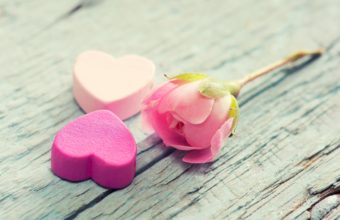 Heart Flower Tenderness 3830 x 2550 340x220