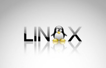 Linux Wallpapers 02 1024 x 768 340x220