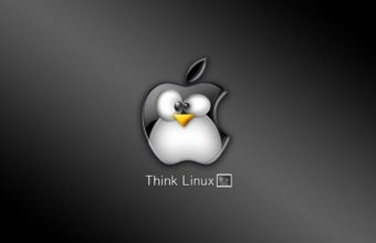 Linux Wallpapers 06 1024 x 768 340x220