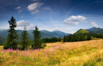 Mountains Eating Field Trees Trees Grass 5348 x 3689 340x220