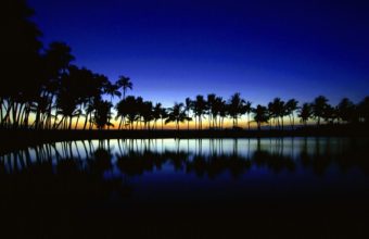 Palm Silhouette Big Island Hawaii 1600 x 1200 340x220