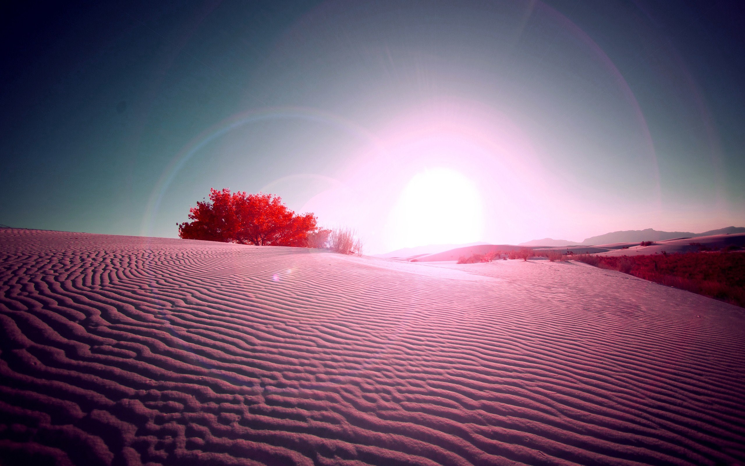 Pink Desert - [2560 x 1600]