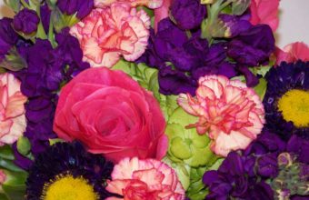Pinks Flowers Bouquet 2304 x 1728 340x220
