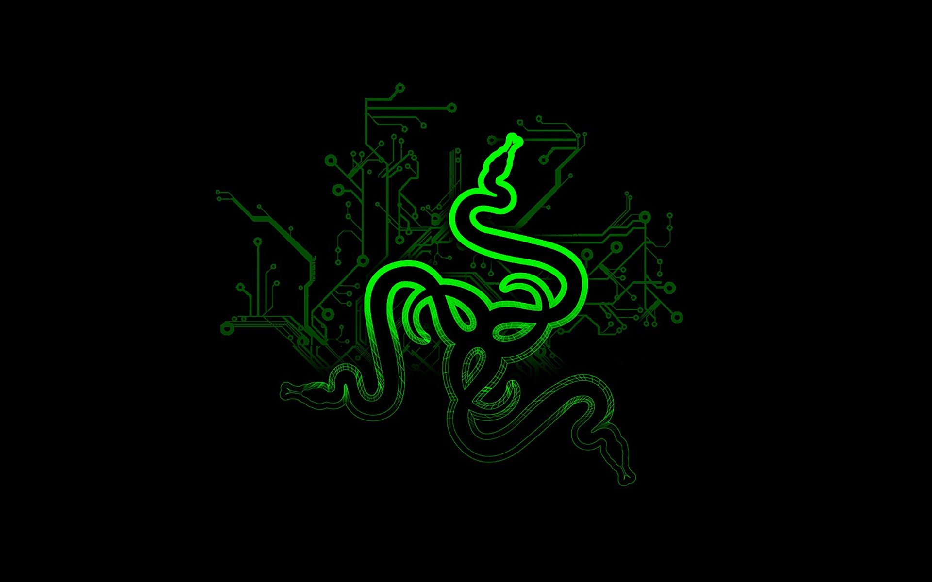 Razer Wallpapers 17 - [1920 x 1200]