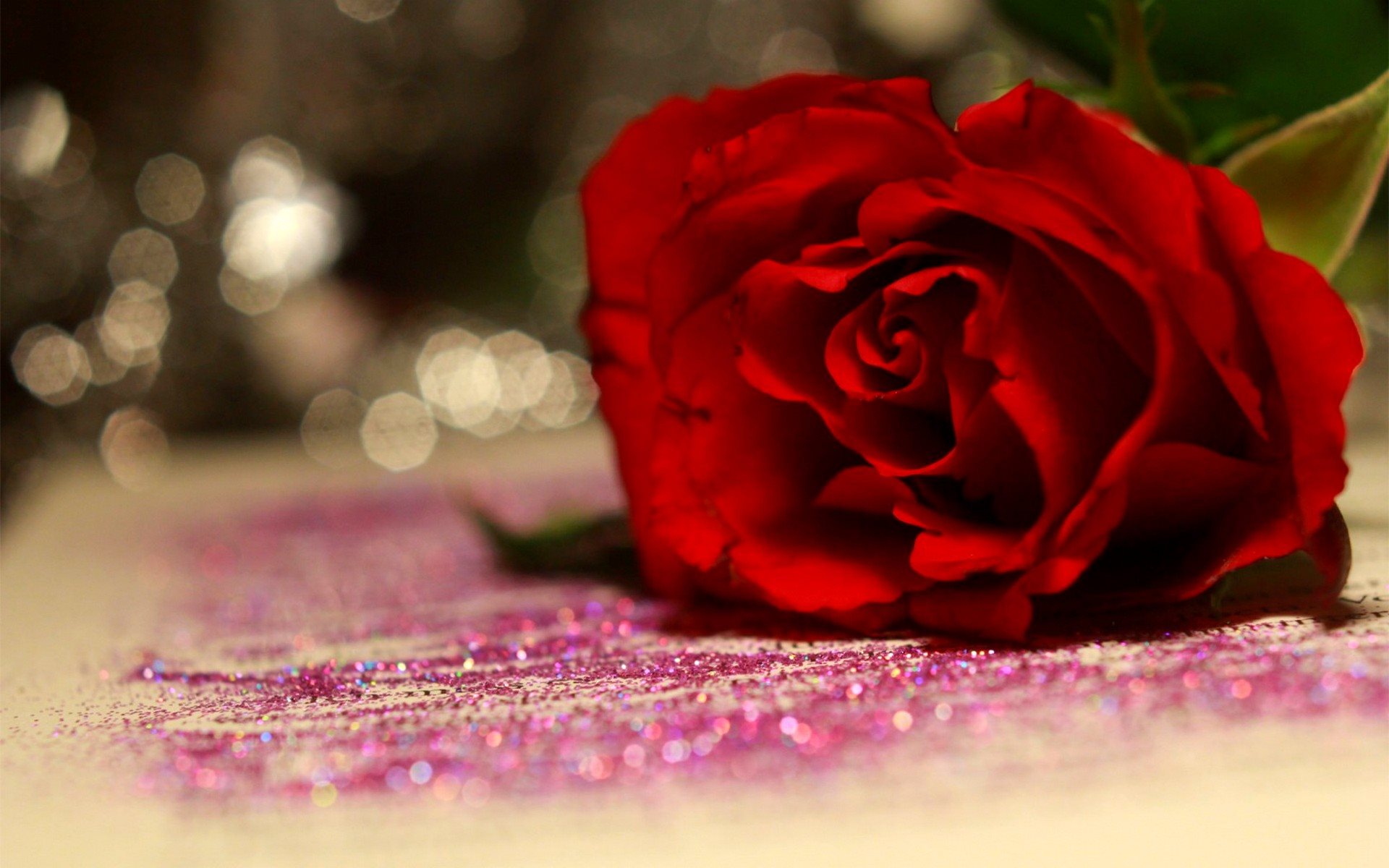 Red Rose HD Wallpapers  Wallpaper Cave