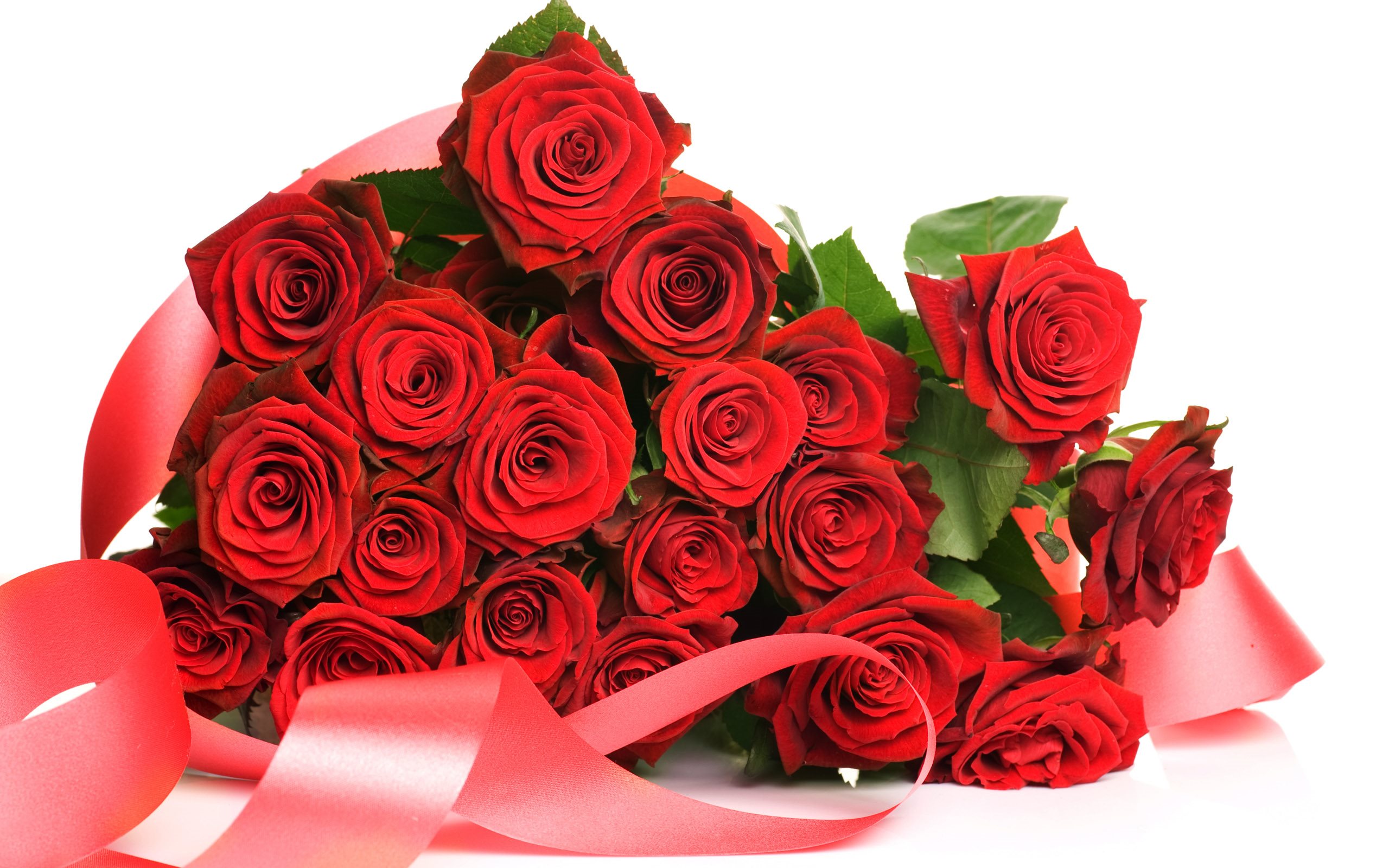Red Roses Pack 2560 X 1600