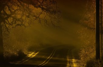 Road Night Fog 2560 x 1600 340x220