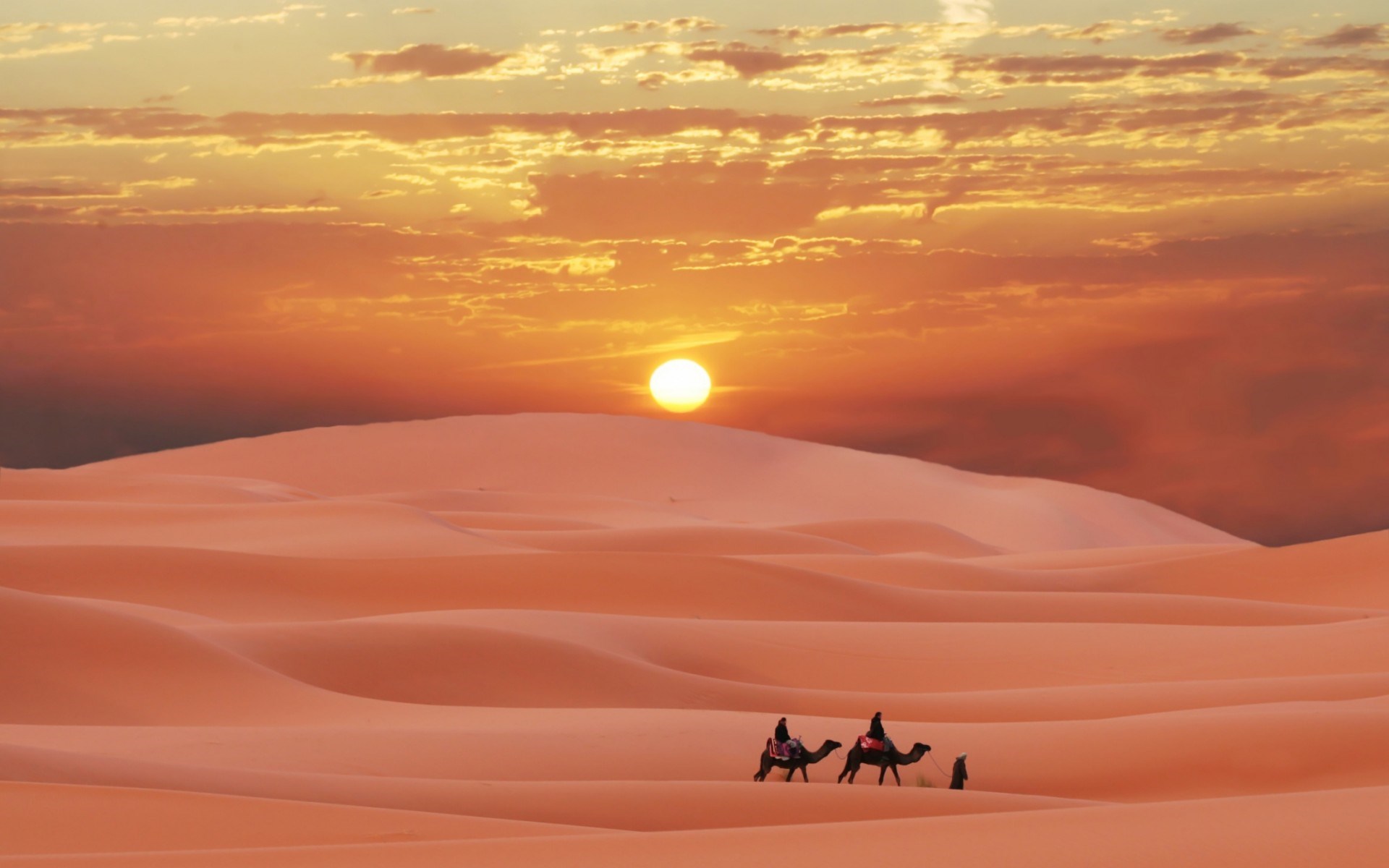 Лошадь пустыня песчаная буря скачать