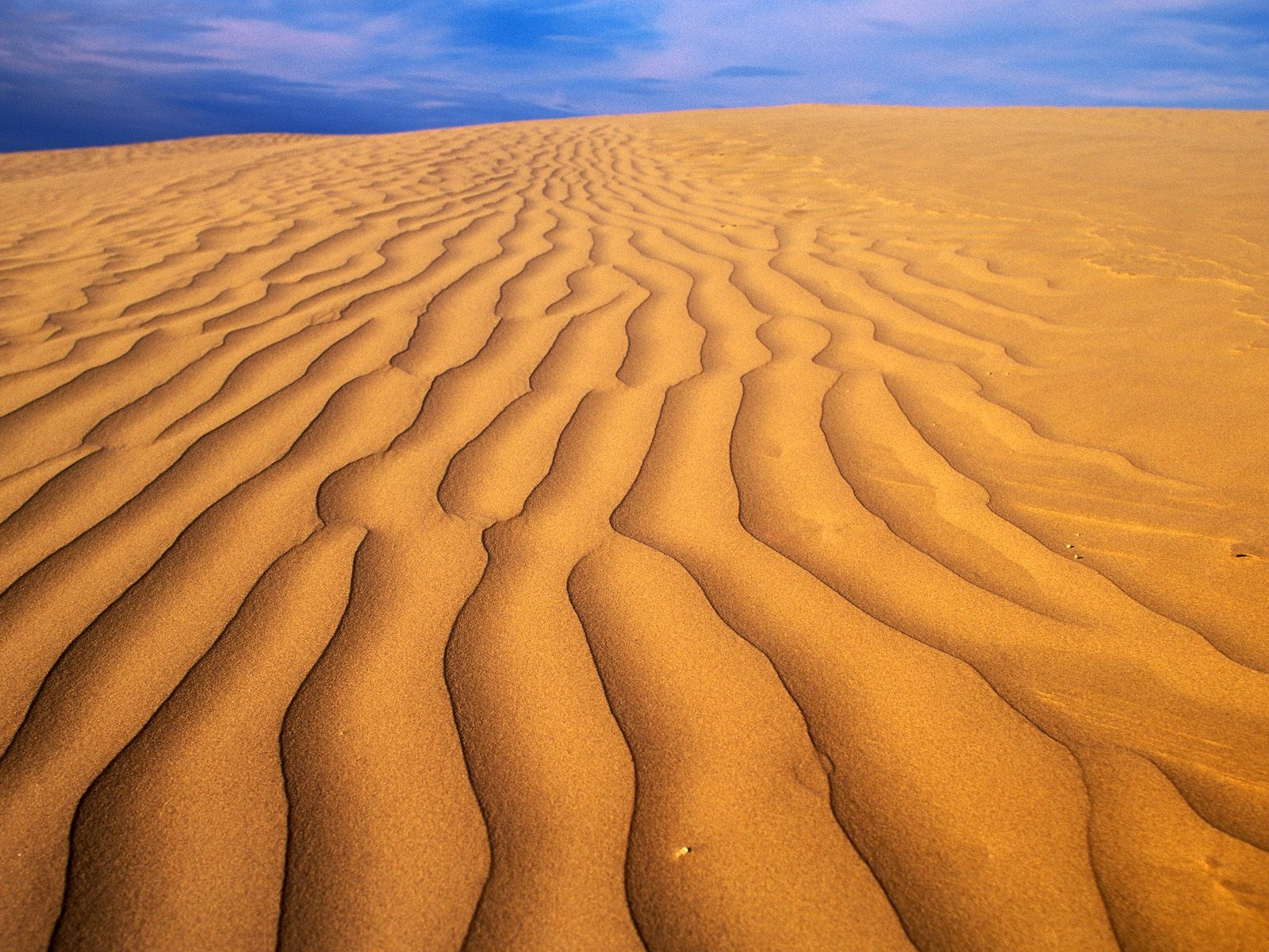 Sand Deserts 1600 X 10