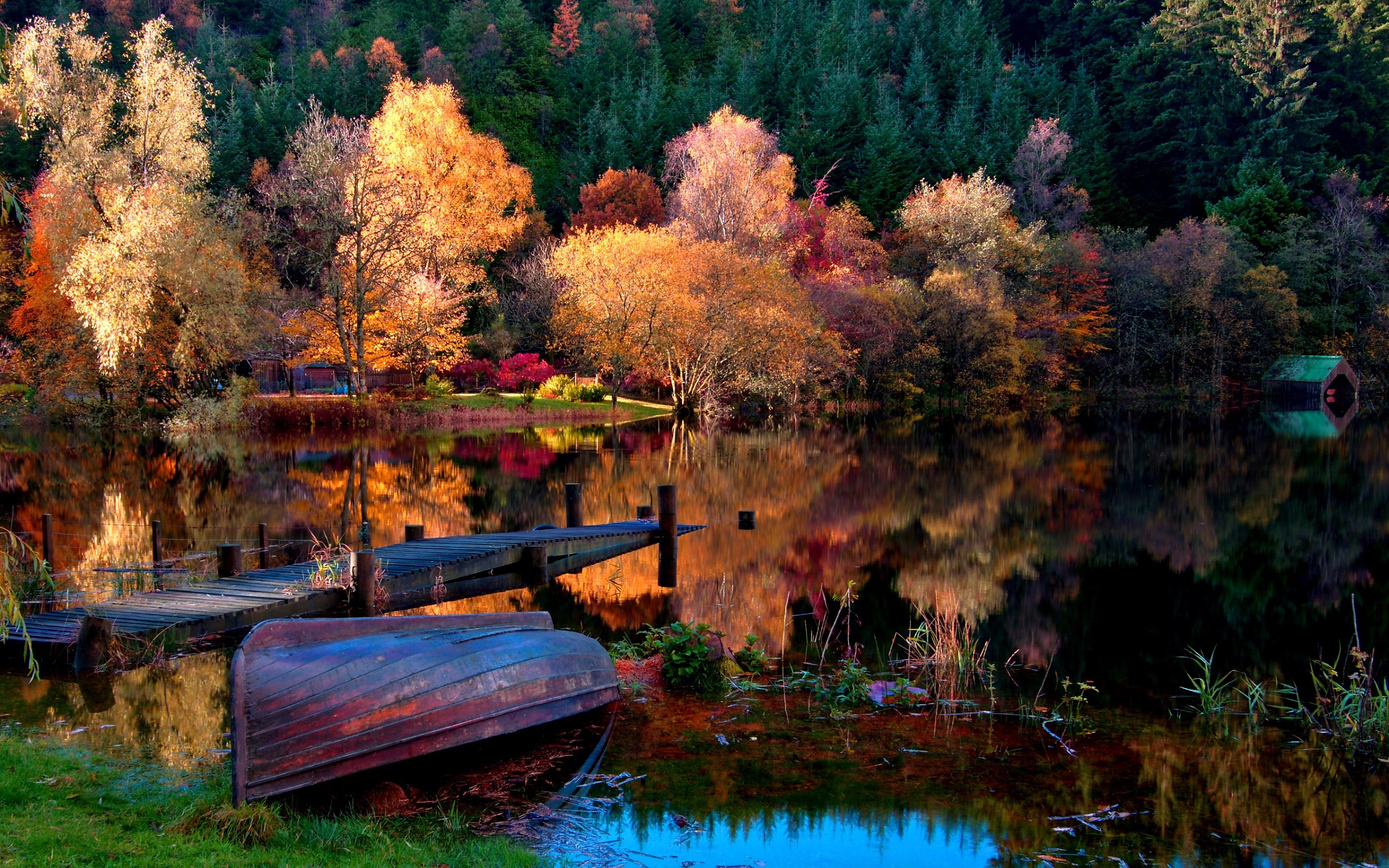 лодка озеро природа деревья трава бесплатно