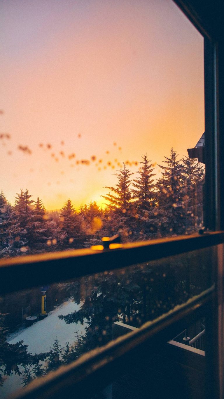 Sunset Phone Wallpaper [1440x2560] - 45