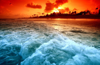 Tropical Beach Sunset 2560 x 1600 340x220