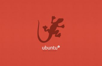 Ubuntu Wallpapers 53 2560 x 1600 340x220