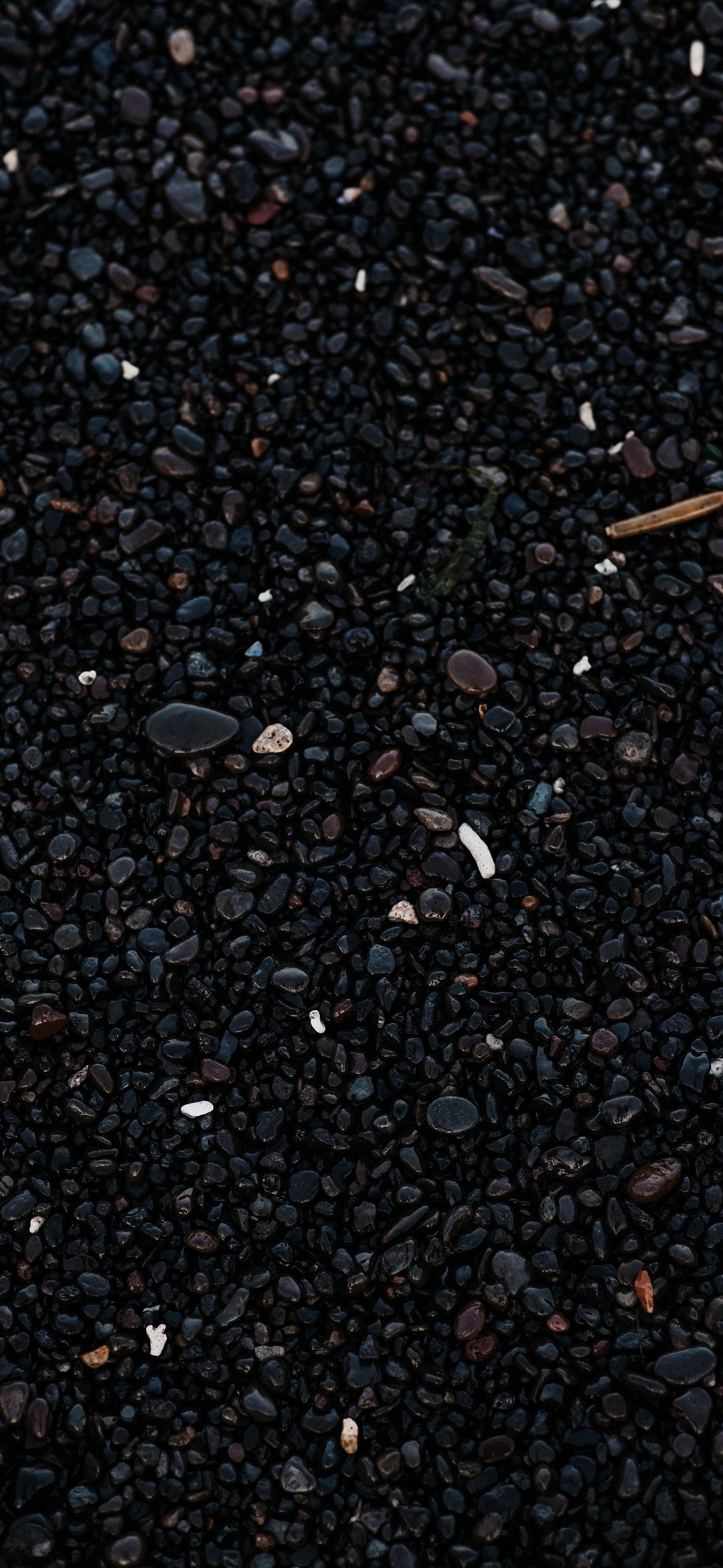  Black Phone Wallpaper  1080x2340 241