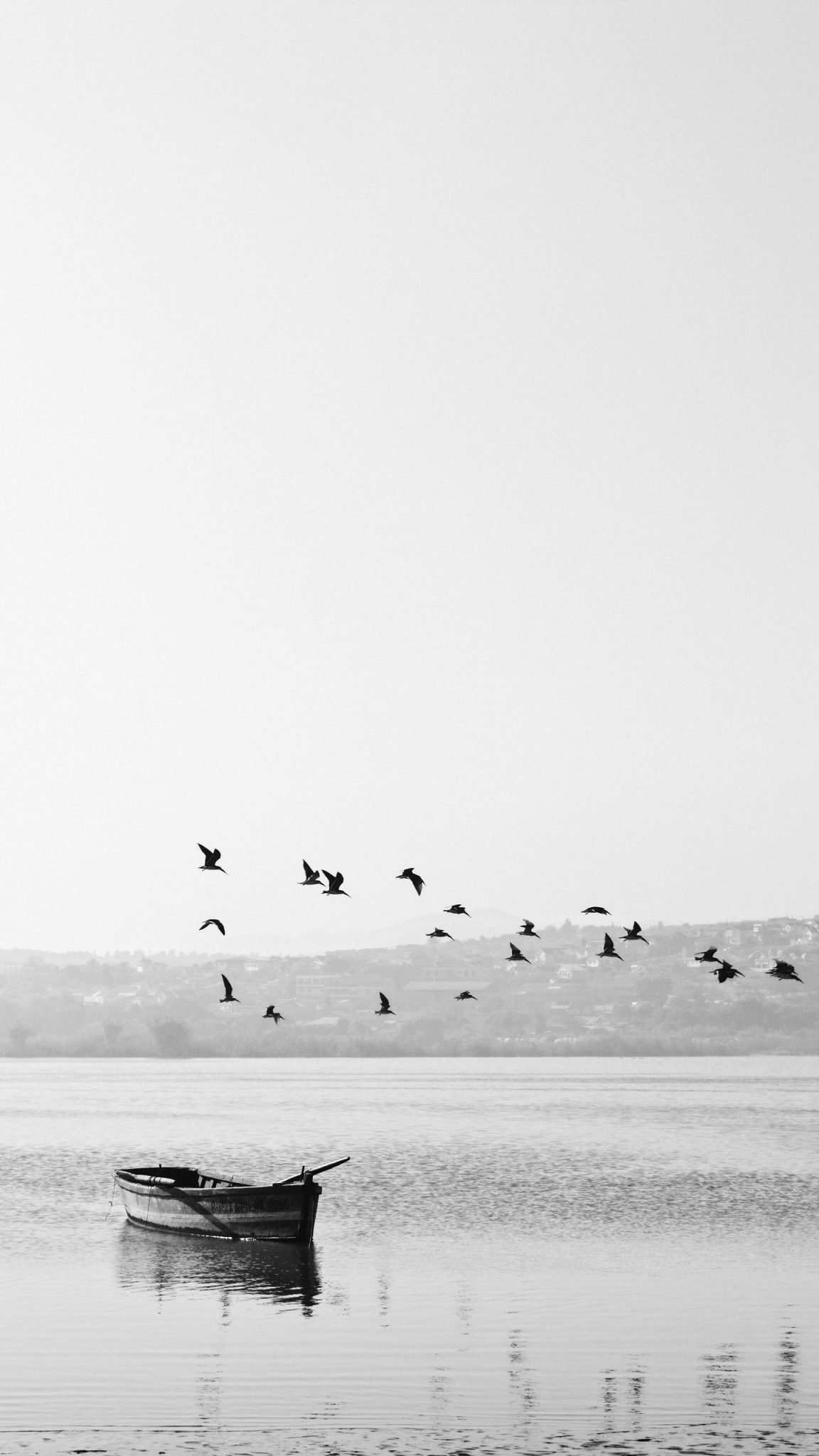 Black and White Wallpaper [1440x2560] - 51