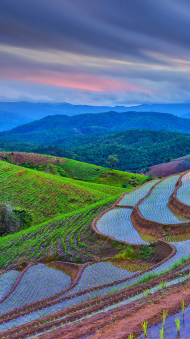 Huawei Magazine Wallpapers HD