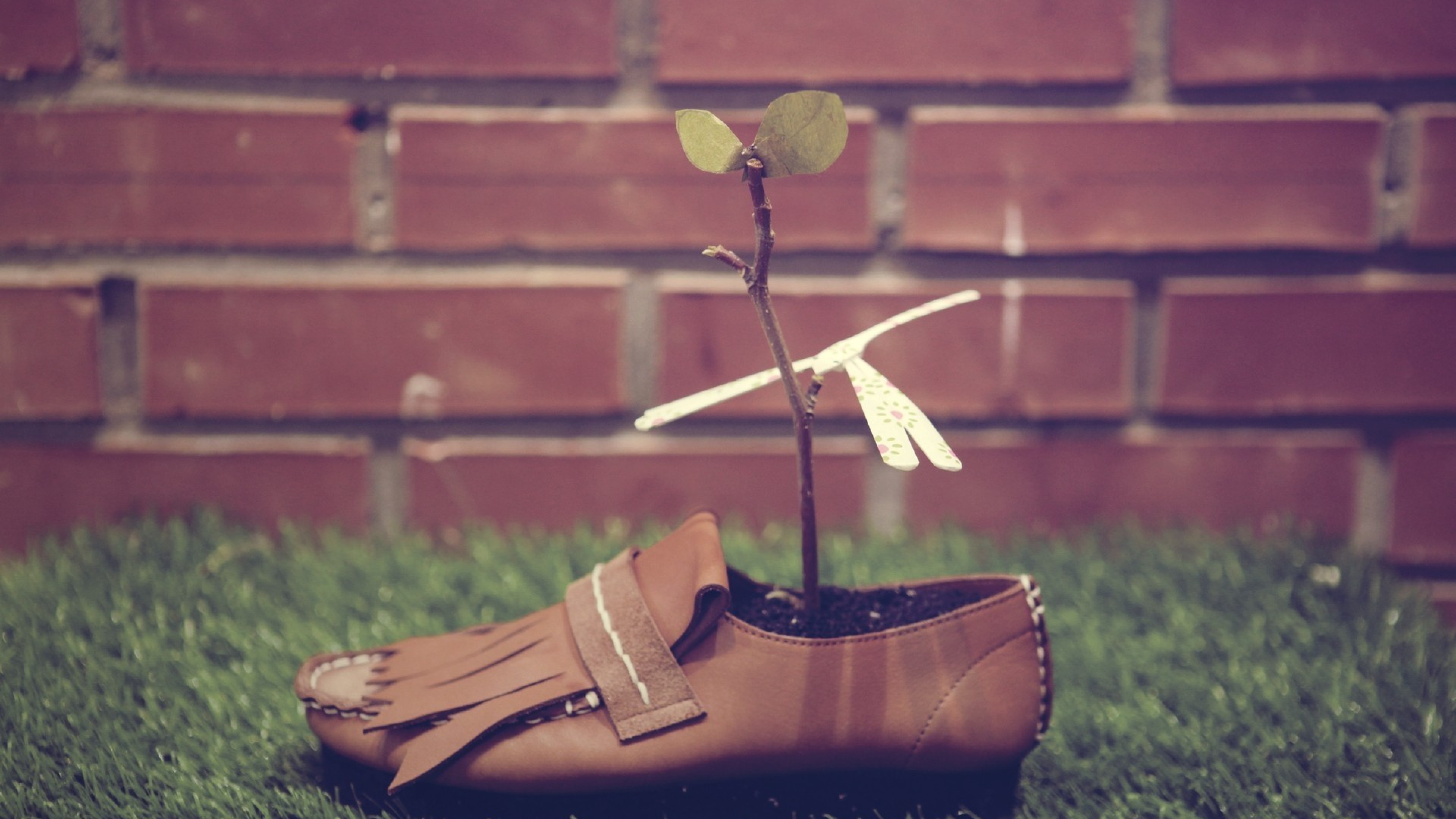 Shoes Plants Grasses [3840x2160]