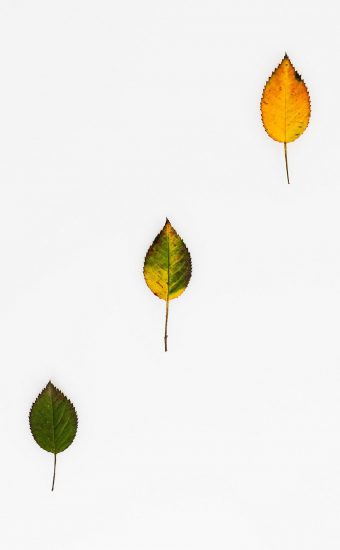 White Phone Wallpaper 122 340x550