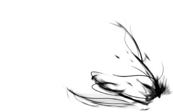 White Wallpapers 23 1600 x 1050 340x220