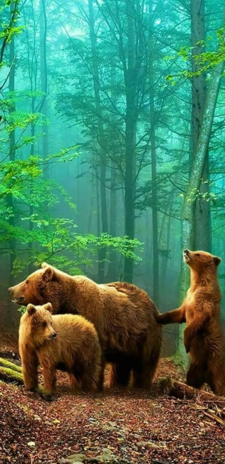 1440x2960 HD Wallpaper - 078