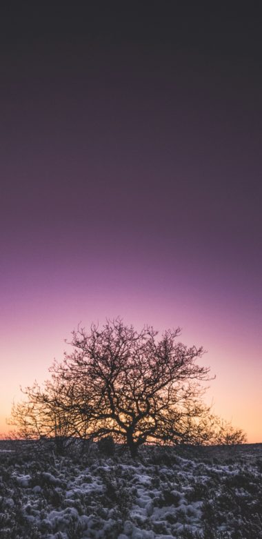 50+ Great Free Wallpaper For Samsung S9 Plus