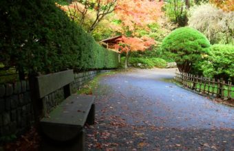 Avikalp MWZ2601 Trees Pink White Purple Yellow Flowers Park Wooden Gar   Avikalp International  3D Wallpapers