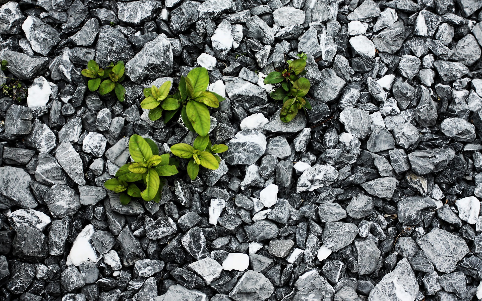 Stone Wallpaper 17 - [1920x1200]