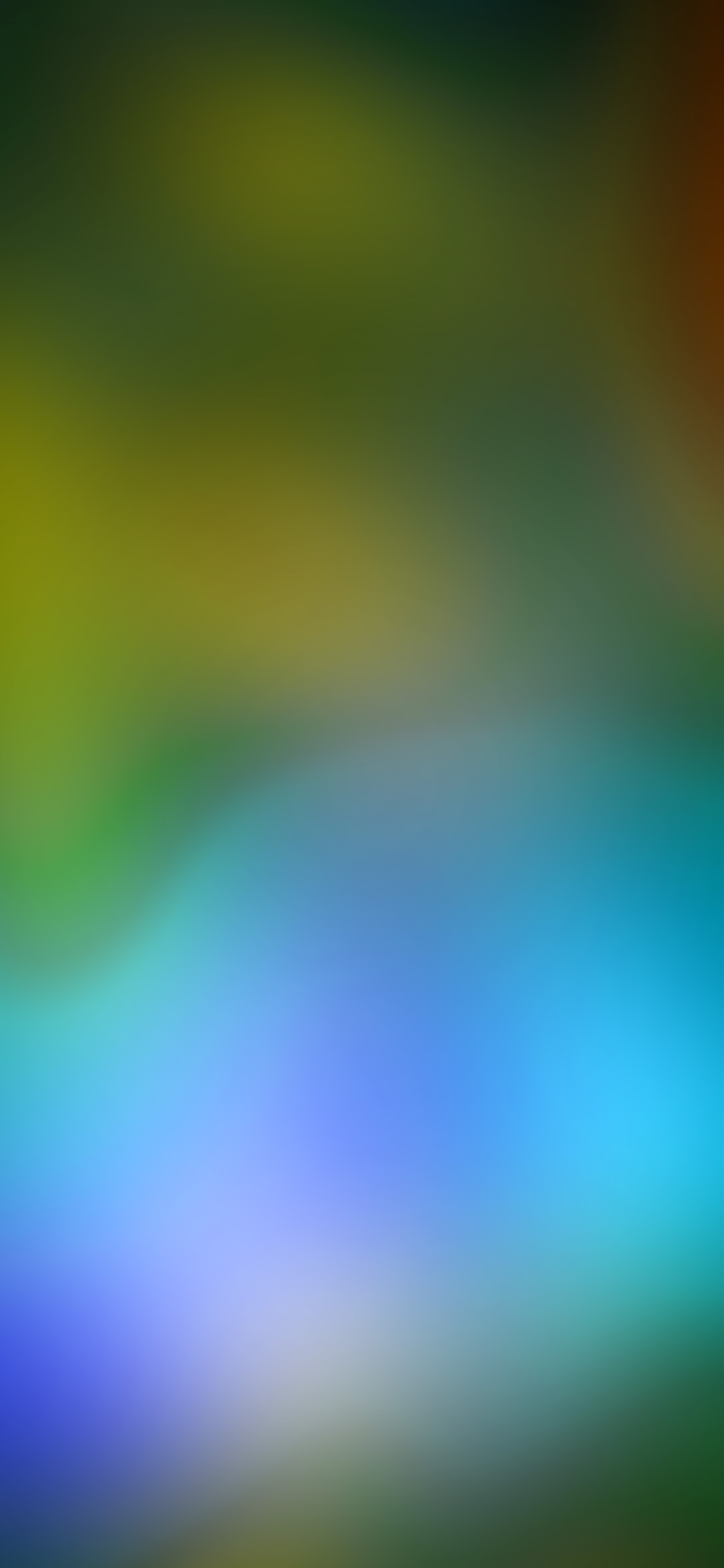 iPhone X Wallpaper 23 - [2250 x 4872]