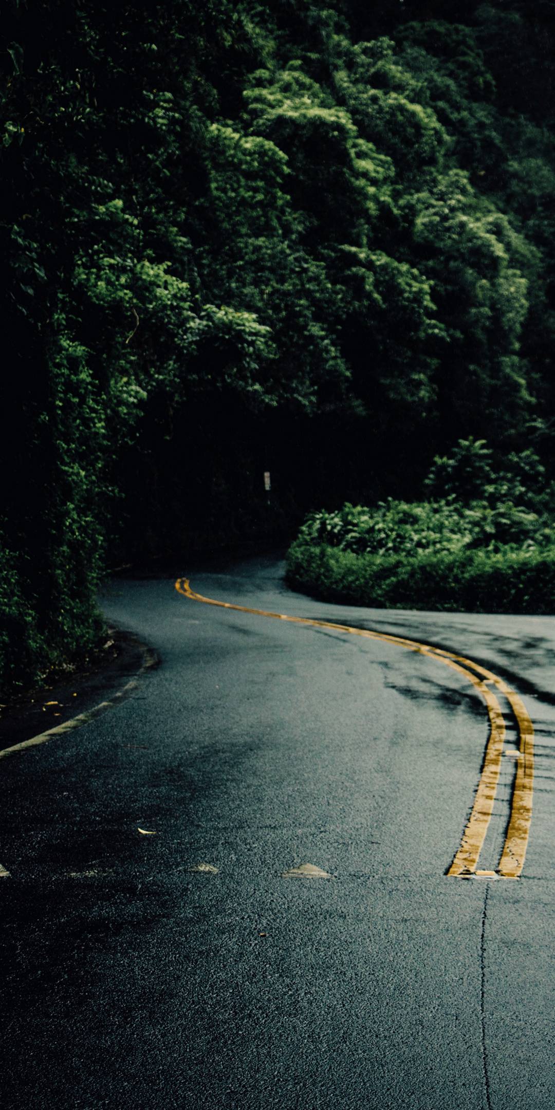 1080x2160 Wallpapers HD
