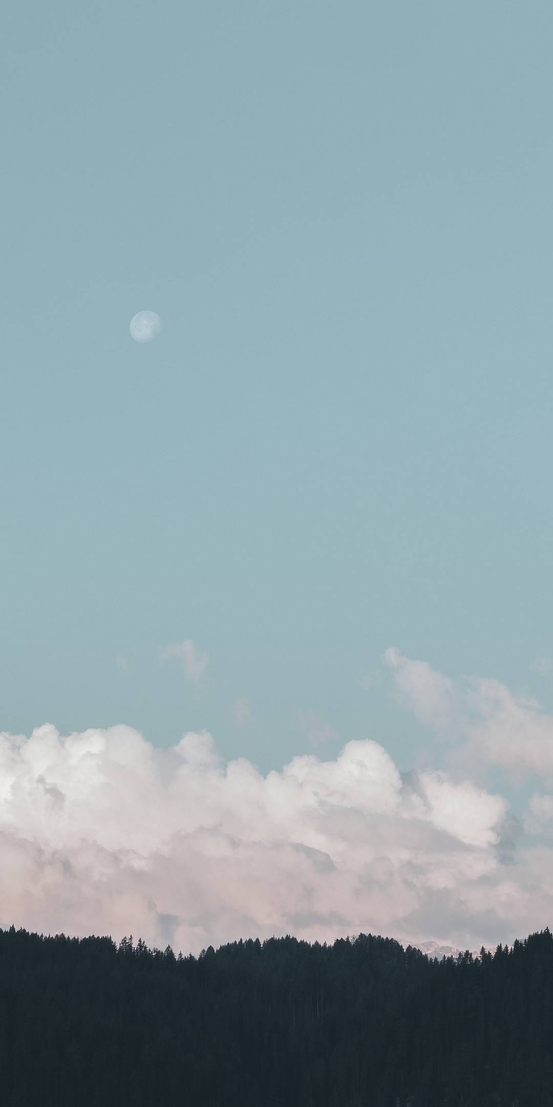 1080x2160 Wallpaper - 058