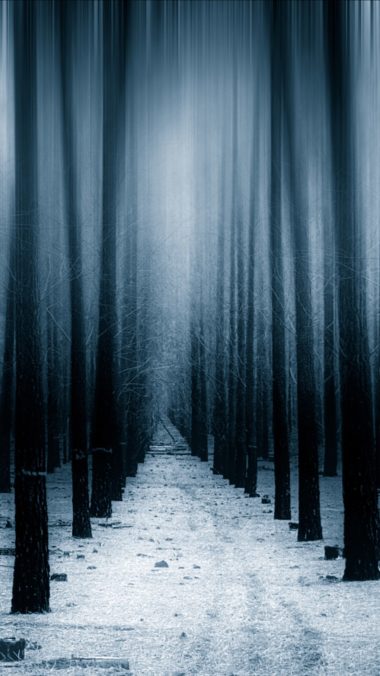 Dark Forest Woods Snow Winter 8k Vv Wallpaper 1080x1920 380x676
