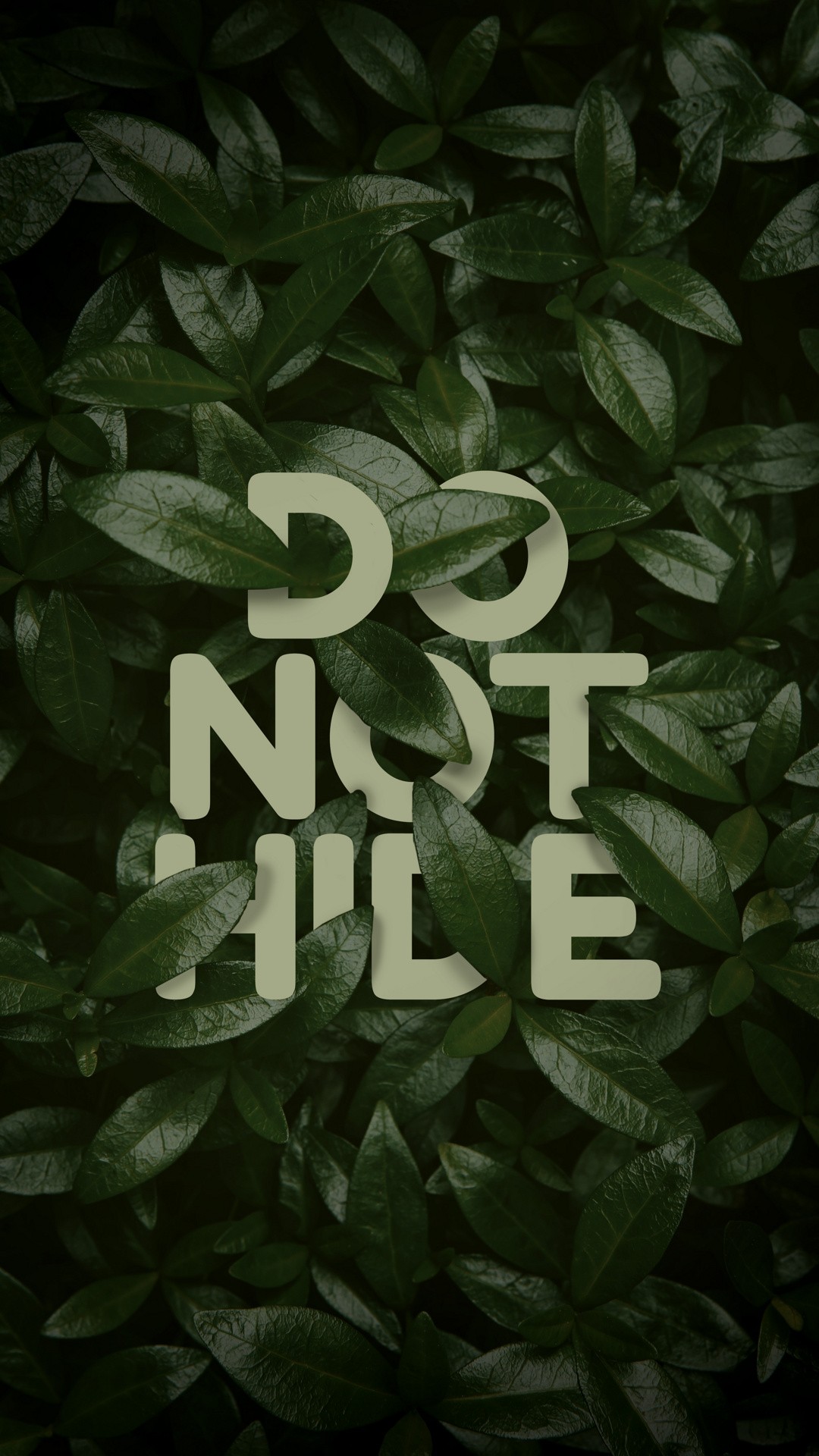 Do Not Hide Wallpaper - [1080x1920]