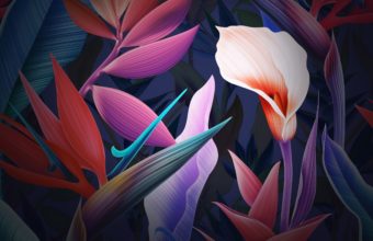 Huawei Mate 10 Stock Wallpaper 26 2880x2560 340x220