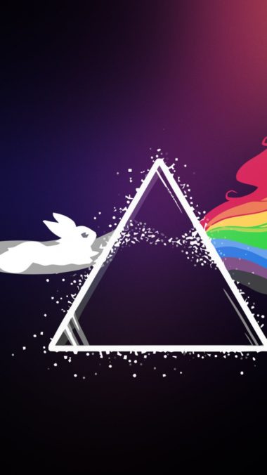Pink Floyd Pokemon Bright Logo 380x676