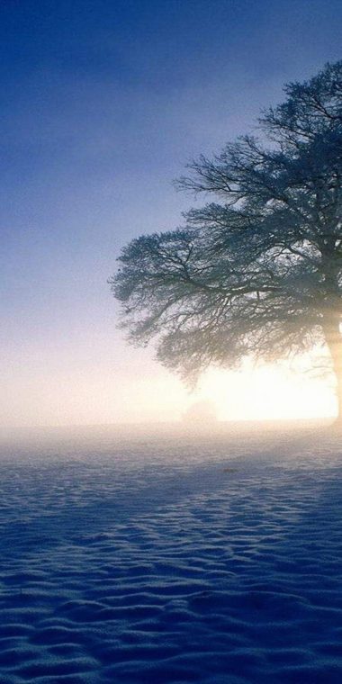 Plandscapes Nature Winter Snow Sun Ultra HD Wallpaper 1080x2160 380x760