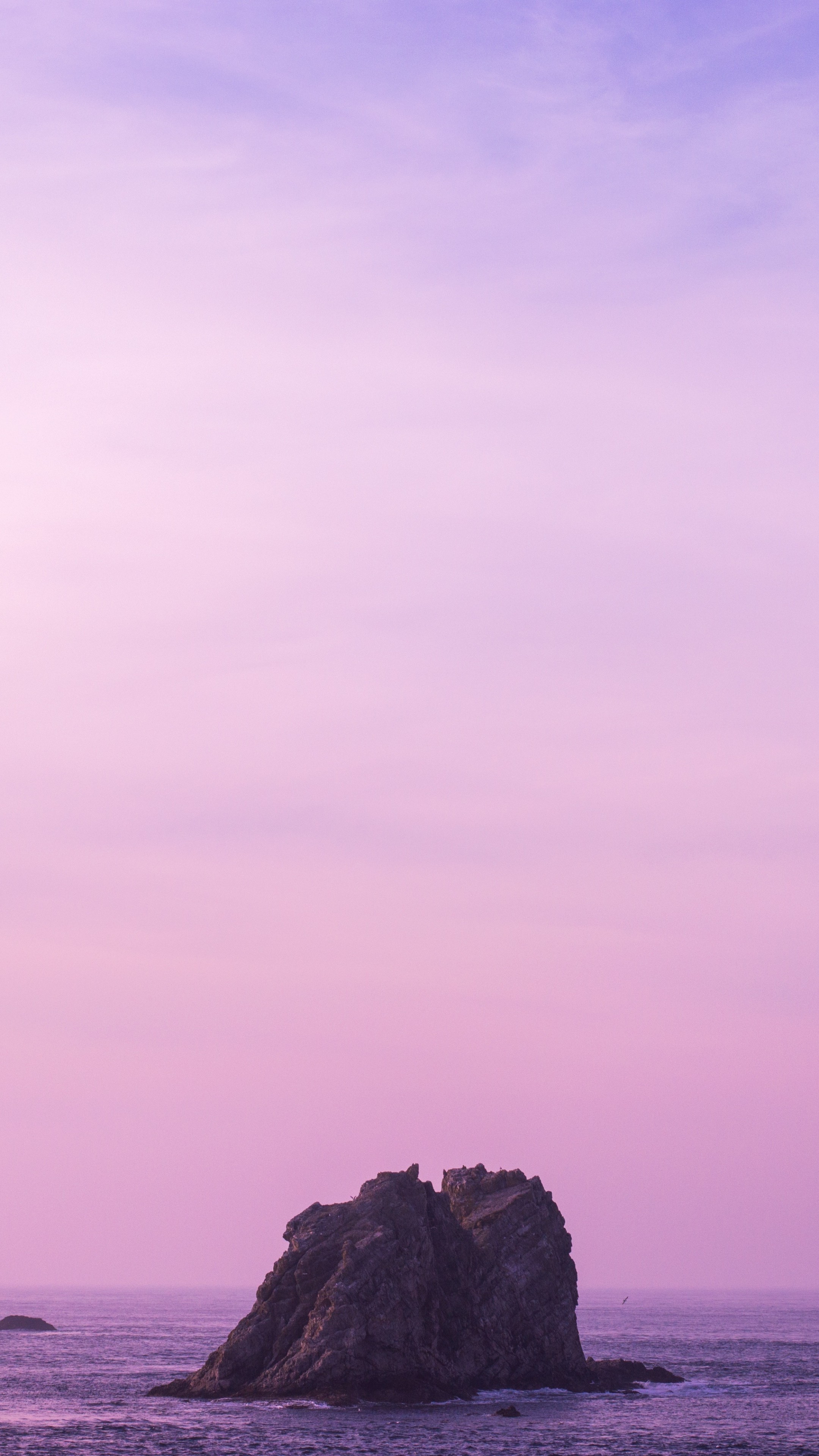 Soft Lilac Aesthetic purple lilac HD phone wallpaper  Pxfuel