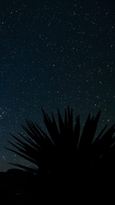 Starry Sky Stars Space Wallpaper 2160x3840 380x676