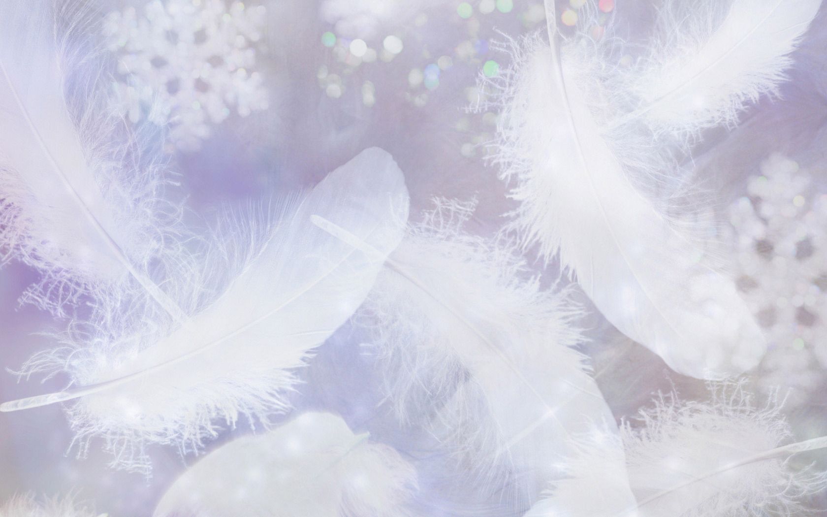 Feathers Wallpaper 29 - [1680x1050]