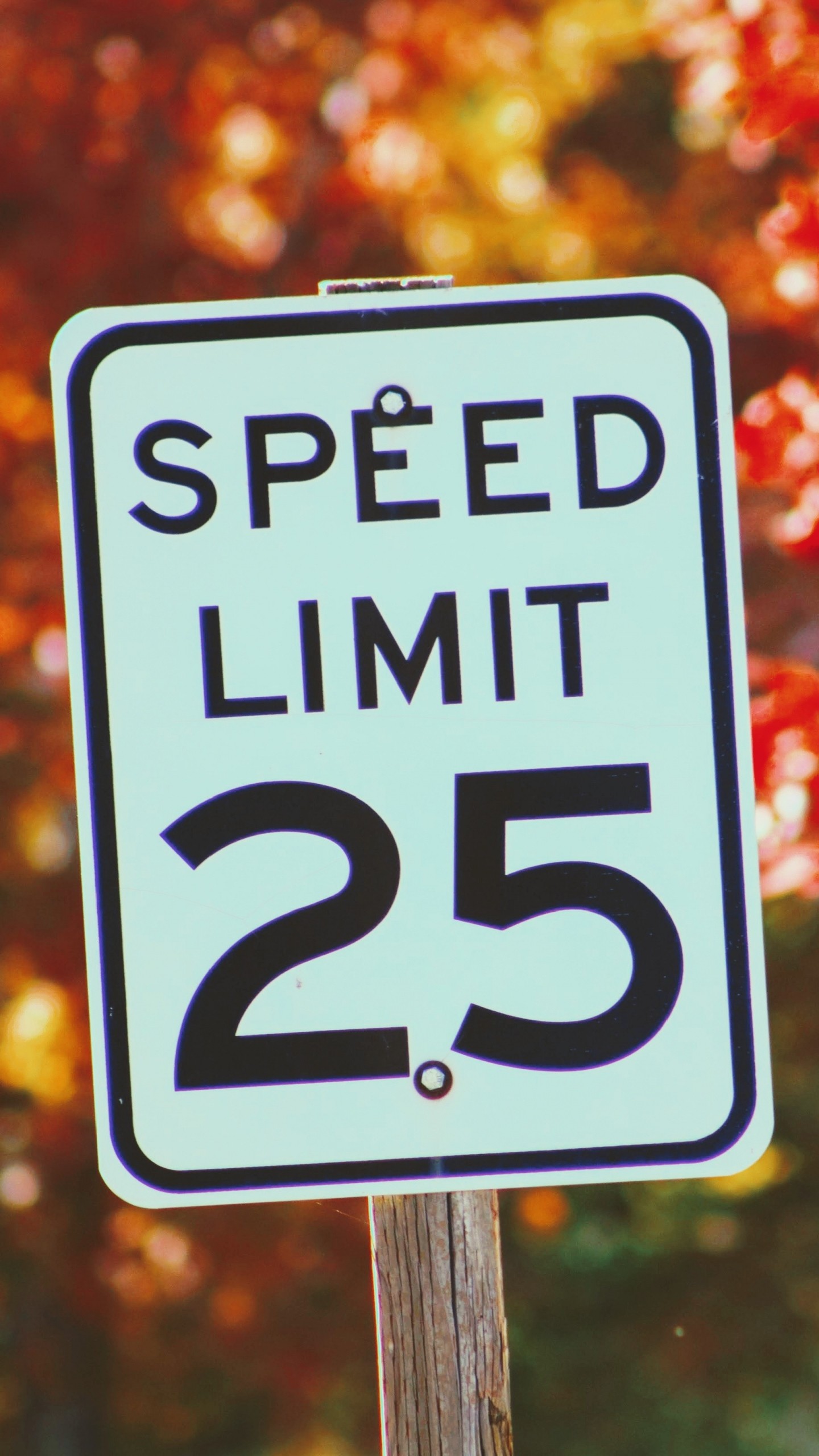 Sign Speed Restriction Autumn Wallpaper - [1440x2560]