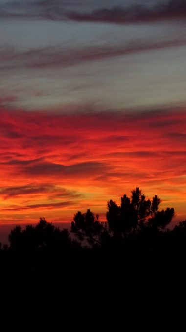 Sunset Trees Sky Clouds Wallpaper 1440x2560 380x676